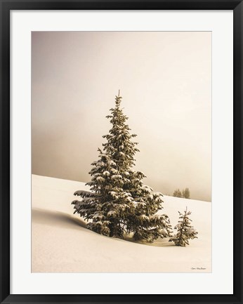 Framed Pine Trees in the Snow Print