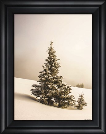 Framed Pine Trees in the Snow Print
