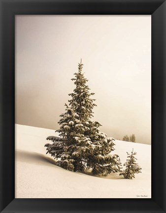 Framed Pine Trees in the Snow Print