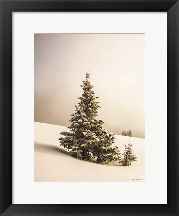 Framed Pine Trees in the Snow Print