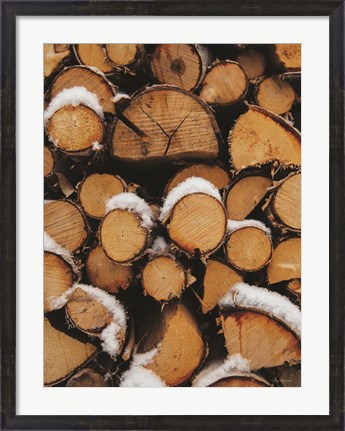 Framed Wood Pile Print