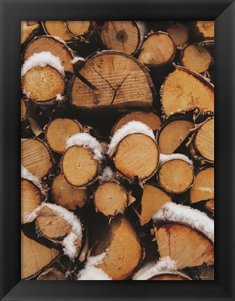 Framed Wood Pile Print