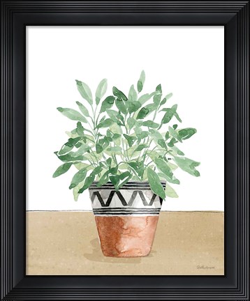 Framed Herb Garden V White Print