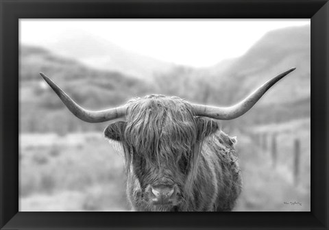 Framed Scottish Highland Cattle III Neutral Crop Print