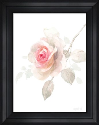 Framed Gentle Rose II Print