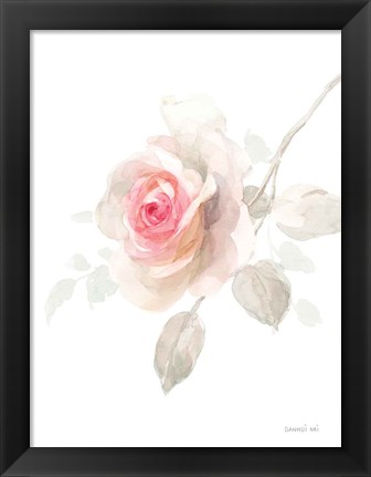 Framed Gentle Rose II Print