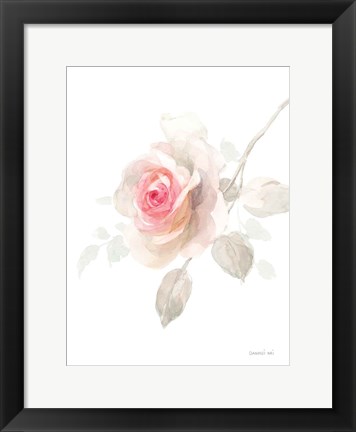 Framed Gentle Rose II Print