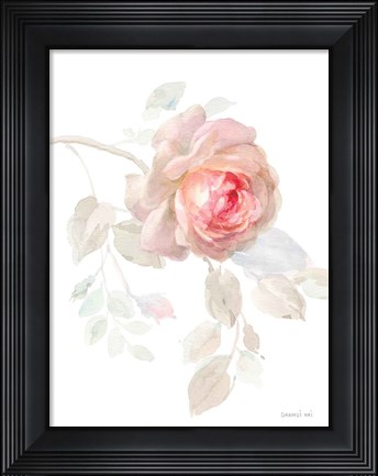 Framed Gentle Rose I Print