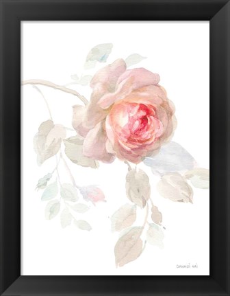 Framed Gentle Rose I Print