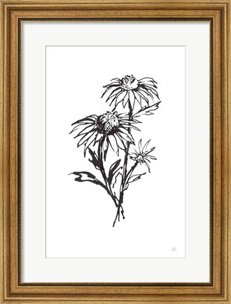 Framed Line Echinacea III Print