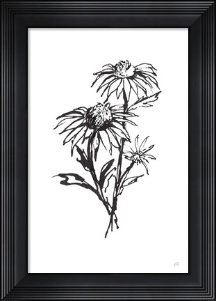 Framed Line Echinacea III Print