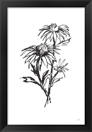 Framed Line Echinacea III Print