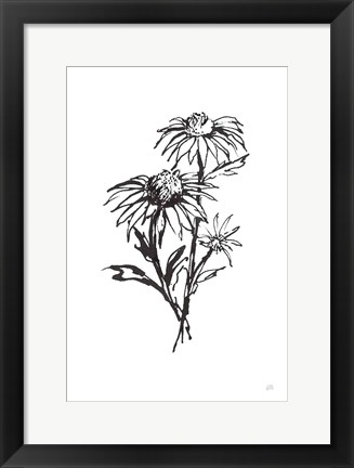 Framed Line Echinacea III Print