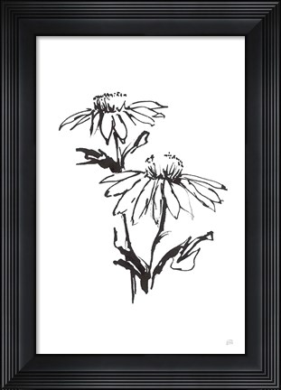Framed Line Echinacea II Print