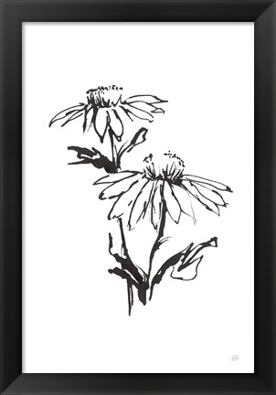 Framed Line Echinacea II Print