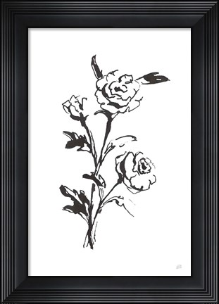 Framed Line Ranunculus II Print