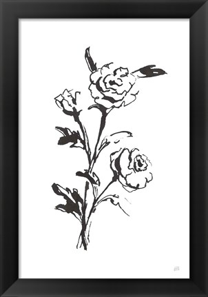 Framed Line Ranunculus II Print