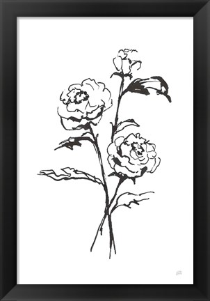 Framed Line Ranunculus I Print