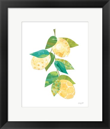 Framed Summer Lemons II Print