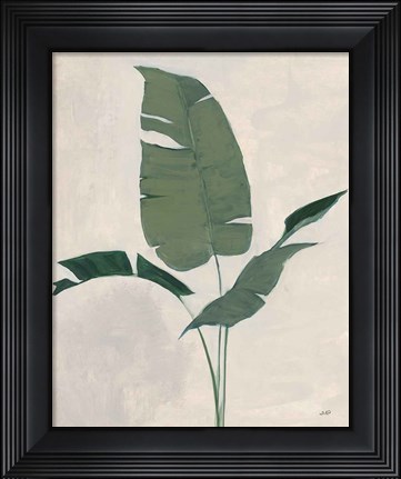 Framed Palm Botanical II Print