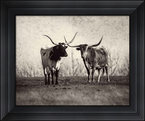 Framed Texas Longhorns Print