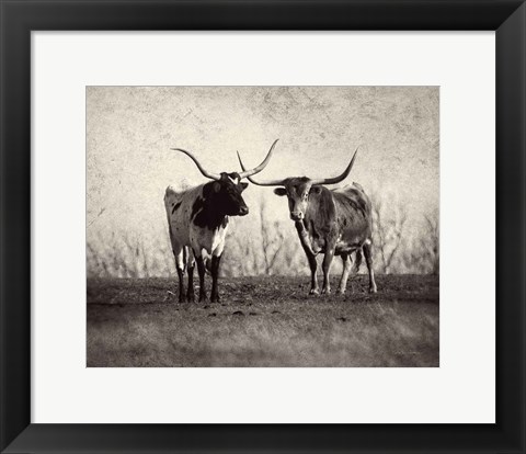 Framed Texas Longhorns Print