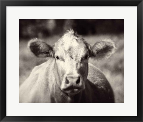 Framed Pasture Cow Print