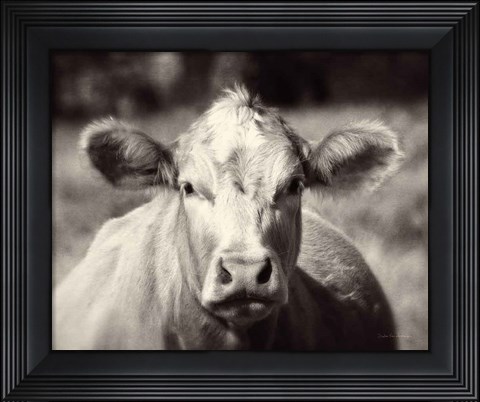 Framed Pasture Cow Print