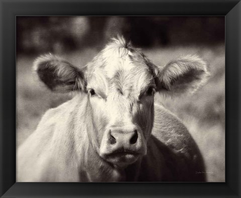 Framed Pasture Cow Print