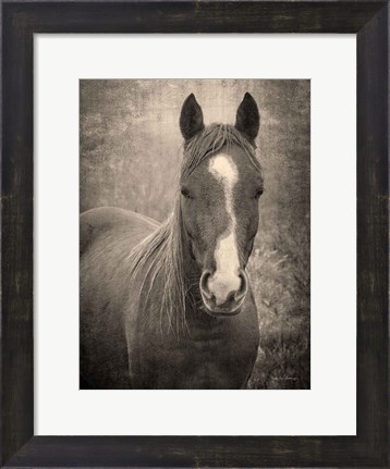 Framed Heres Looking at You II Print