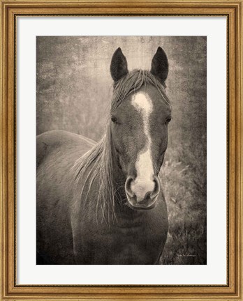 Framed Heres Looking at You II Print