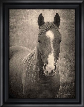 Framed Heres Looking at You II Print
