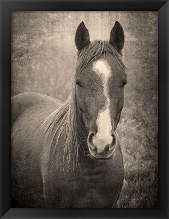 Framed Heres Looking at You II Print