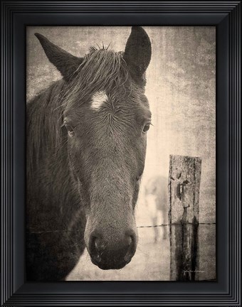 Framed Heres Looking at You I Print
