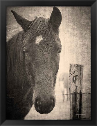 Framed Heres Looking at You I Print