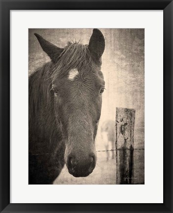 Framed Heres Looking at You I Print