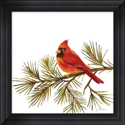 Framed Cardinal Christmas V on White Print