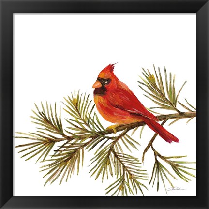 Framed Cardinal Christmas V on White Print