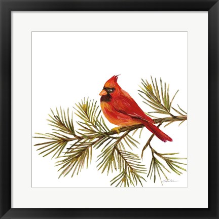 Framed Cardinal Christmas V on White Print