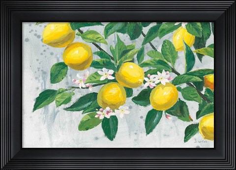 Framed Zesty Lemons Print