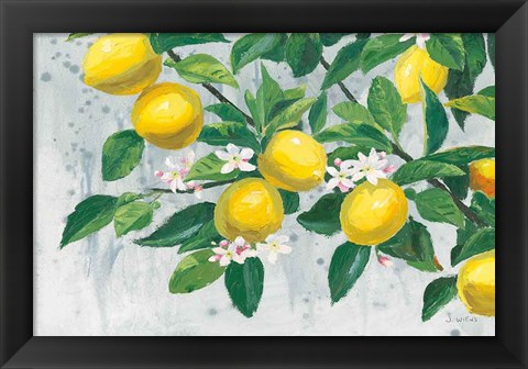 Framed Zesty Lemons Print