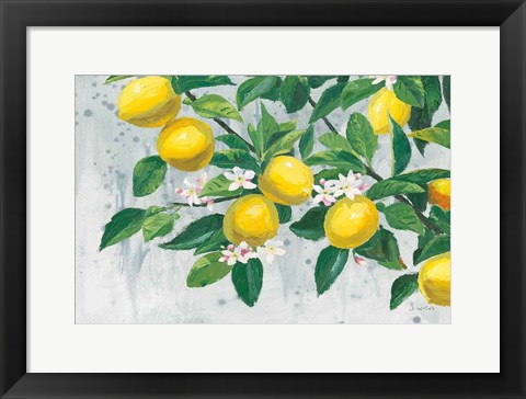 Framed Zesty Lemons Print