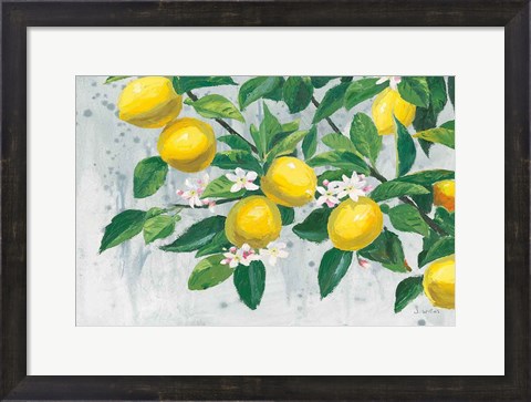 Framed Zesty Lemons Print