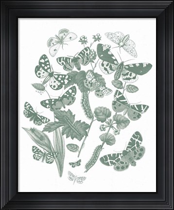 Framed Butterfly Bouquet IV Sage Print