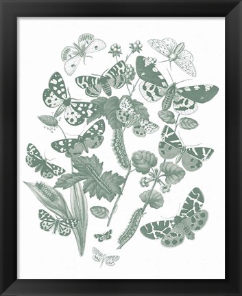 Framed Butterfly Bouquet IV Sage Print