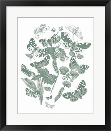 Framed Butterfly Bouquet IV Sage Print