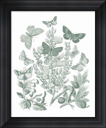 Framed Butterfly Bouquet II Sage Print