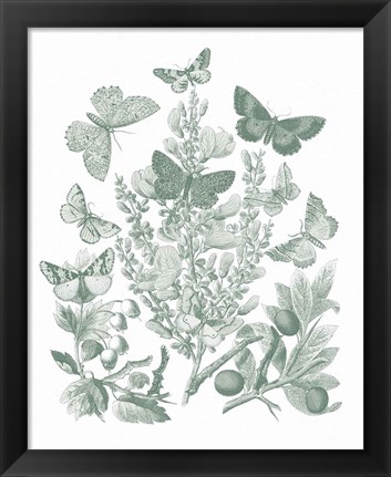 Framed Butterfly Bouquet II Sage Print