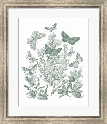 Framed Butterfly Bouquet II Sage Print