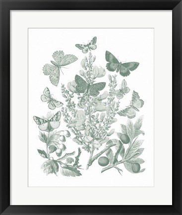 Framed Butterfly Bouquet II Sage Print